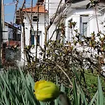 Terra Di Mezzo