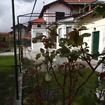 Terra Di Mezzo Tatil Evi