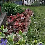 Holiday home Terra Di Mezzo *