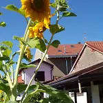 Terra Di Mezzo Tatil Evi Invorio Inferiore
